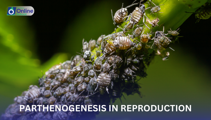 Lesson 05: Parthenogenesis in Reproduction